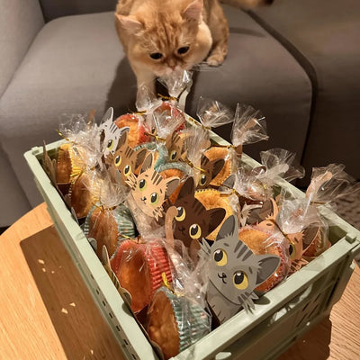 Katten traktatie doosjes cupcakes traktatie van Uitdelen.nu